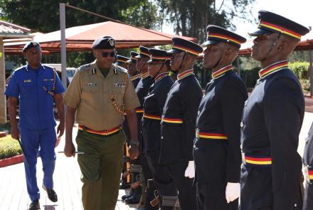 Parade inspection