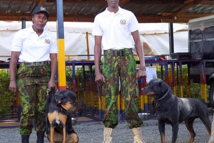 K9